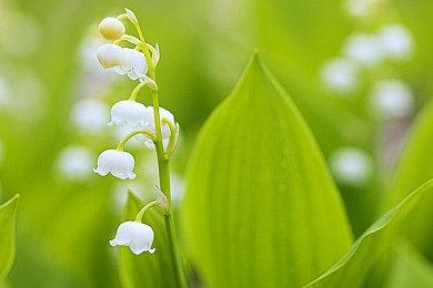 《噩梦骑士》重制版推迟至明年春发行 登陆NS＆移动端